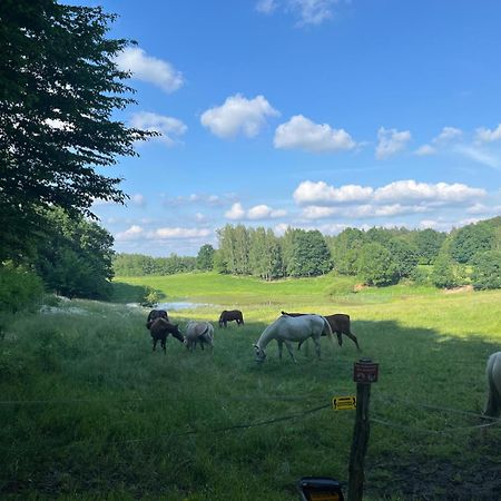 Biale Domki Bytów 外观 照片